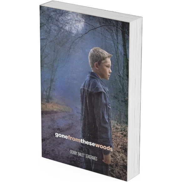 Gone From These Woods book cover With a young boy standing by a road that leads into the woods.
