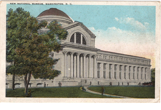 New National Museum Washington D. C. Vintage Postcard